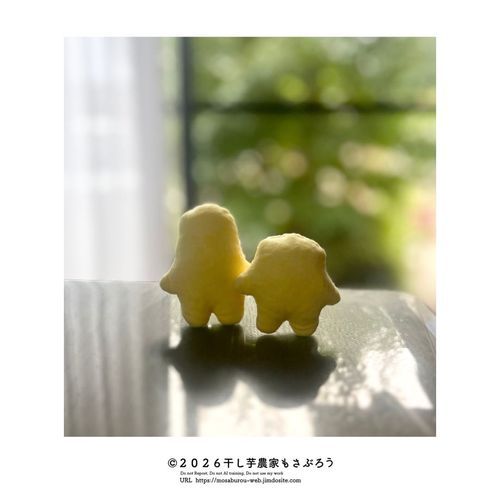 さつま芋畑デビューのために早起きしたのに、雨が降って断念する干し芋妖精