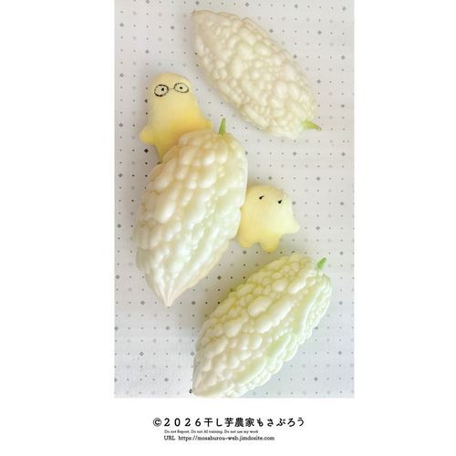 ゴーヤの赤ちゃんが成長しました

しろくまゴーヤ(白ゴーヤ)という品種です
本日直売所へ卸します
