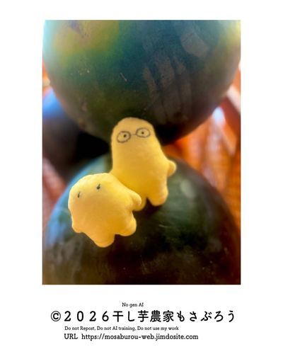 種無しスイカを収穫しました

大きくておっっっっもい