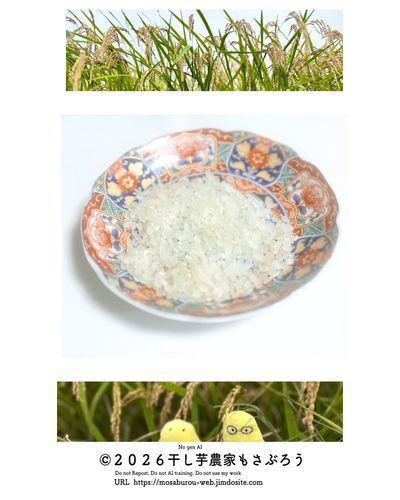 今年の新米
透明度のあるお米です

#干し芋農家もさぶろう
 