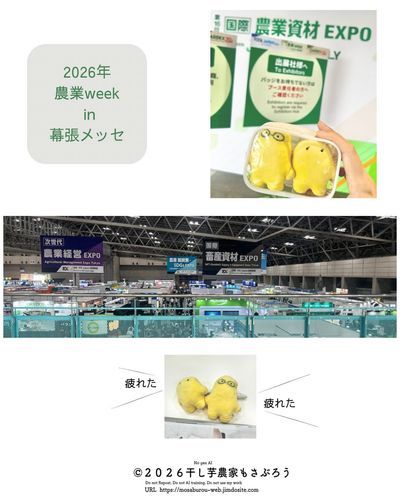 EXPOに行ってきました
今後の農業の傾向を知るためにも、出来るだけ毎年見るようにしています

干し芋妖精は初参加
とても勉強になりました
