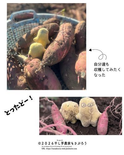 土汚れ(orz)干し芋妖精

さつま芋とってドヤ顔してるみたい