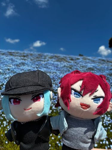 ネモフィラ！