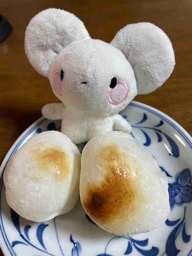 もち（無加工）