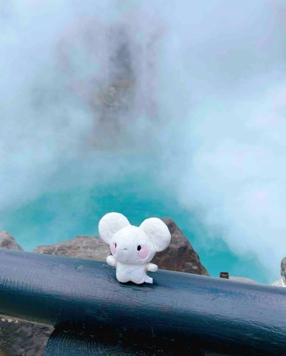 ここは……海地獄（ねずみ）