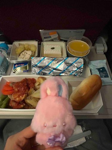 きないしょく✈️