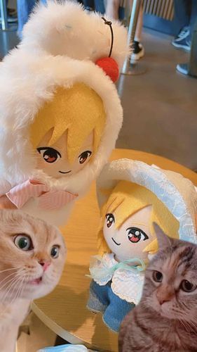 ム
