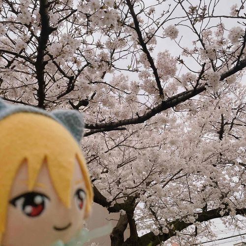 まんかいらよ