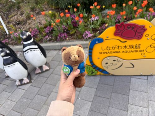しな水に行ったよ🐬
