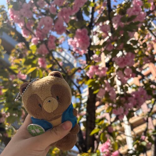 目立ちすぎちゃった、花がブレブレ