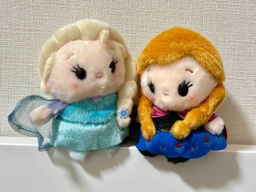 はじめましてみなさん。
わたしはエルサ。みぎにいるのはいもうとのアナよ。
ふたりでなかよくくらしているの。
これからおもいでをいろいろポストしようとおもいます。
どうぞよろしくね。
