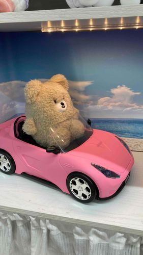 クマの運転中🐻