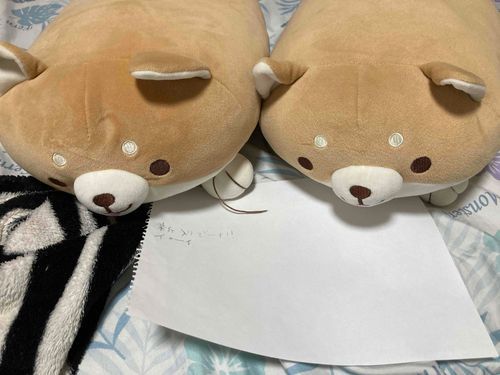 新入りが来たよー　(紙に書いてるのわからないかも)