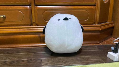 新しい仲間だよ〜仲良くしてね
ちなみに名前は、シロちゃんだよー