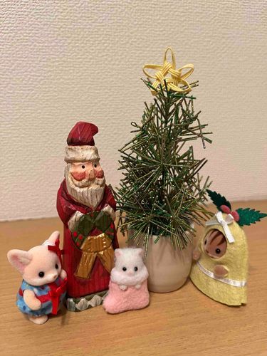 去年のこの時期に来てくれたクリスマスちゃん達🎄
癒しを毎日ありがとう🪄