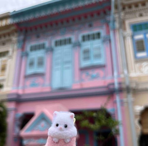 シンガポールに来てます！ぺるの靴下と同じピンク色のお家かわいい💞