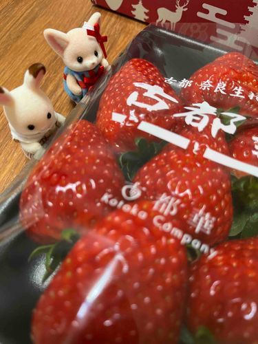 大きないちご！
