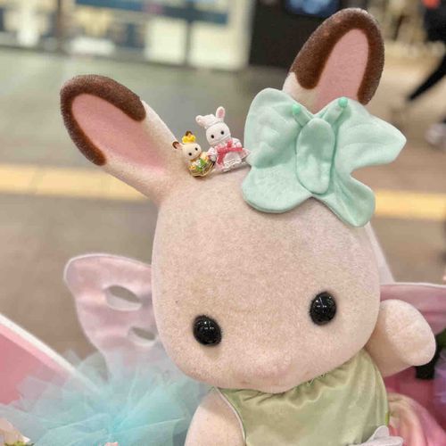 頭の上にお邪魔してます！
うさぎトリオです🎶
