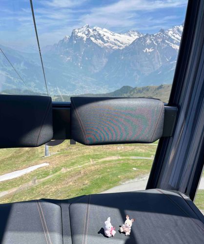 スイスの壮大な山！ただでさえ小さいシルバニアちゃん達がさらに小さく見えるね🙂‍↕️