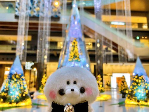 2024.12.25
超豪華なキラキラツリー🎄🪩✨