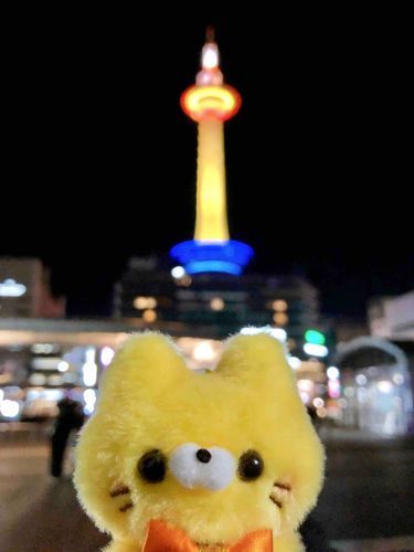 2025.3.8
今日のタワー🗼はミモザカラー🌼💛