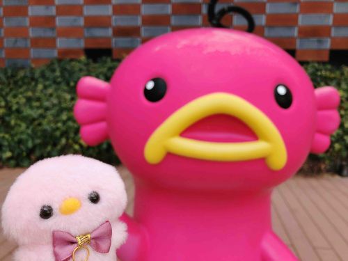 2025.3.12
エビシーとひよこさん、似てるっぴ？🐣