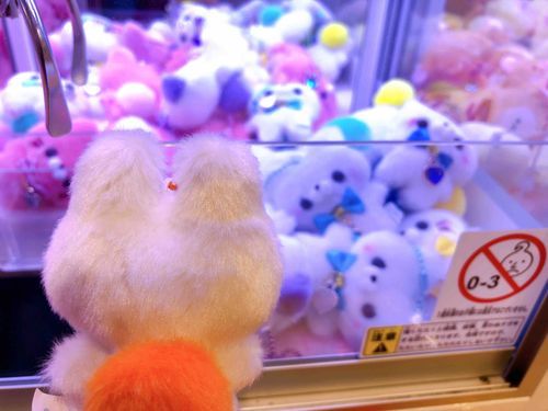 2025.3.26
ほごしゃさんのおうちにいってきま〜す💨👋
