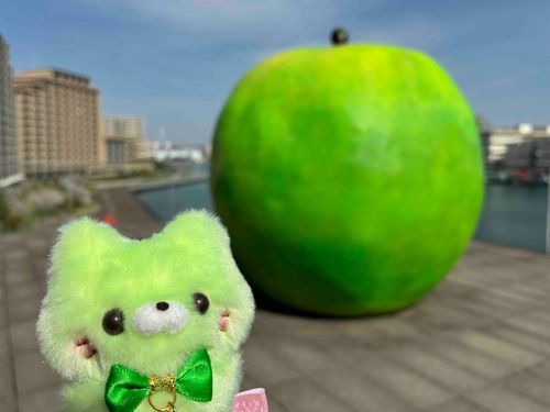 2025.4.16
お〜〜〜〜っきな青りんご🍏