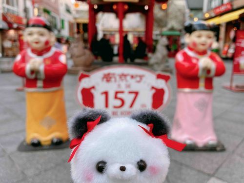 2025.4.26
南京町をぶらぶら🐼