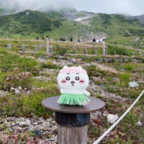 はいきんぐ⛰️