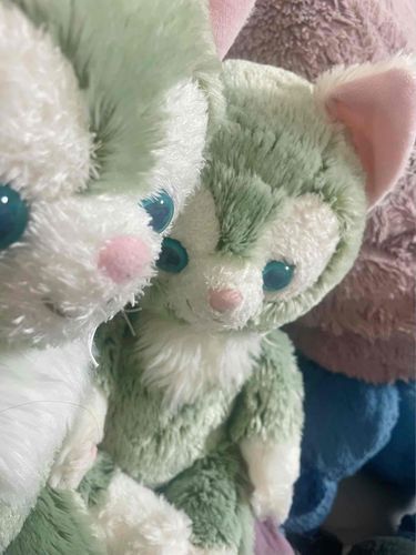 ねこ