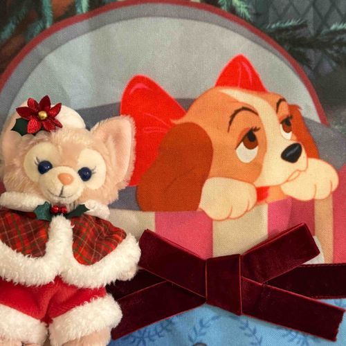 レディちゃんとクリスマスだよ🎄.*かわいいね🐾🎀