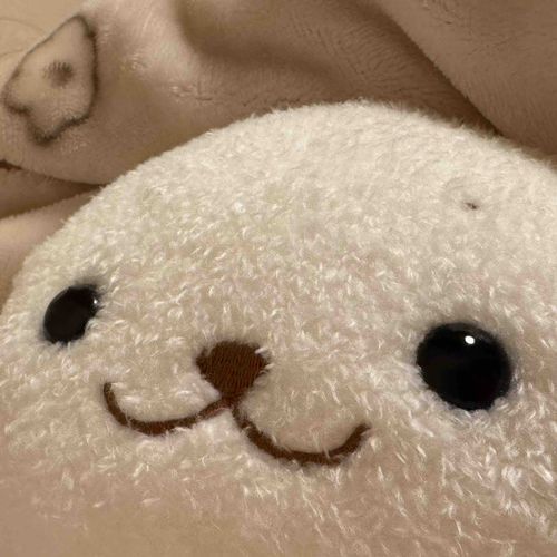 あるじ ふちょう だから いっしょに ねるきゅ( * ॑꒳ ॑*)