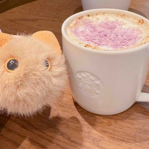 あるじが にんじん おうちに おいてきちゃった(  ..)՞だから きょうは わたし！ねこの ちーたん🐈‍⬛🎀 あーるぐれい おいしいね🫖
