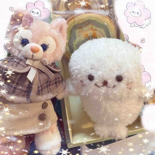 はこに はいれたきゅ( :ᘌ ꇤ )Эおかしとおなじ おおきさきゅ！