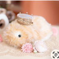 ふわこ