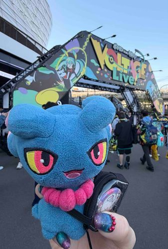 3日間参戦しております