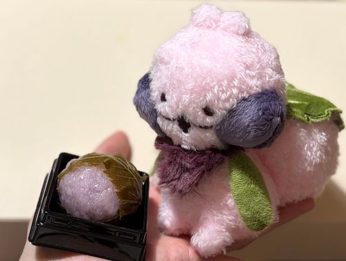 新しい仲間のさくらもちりすちゃん🌸
〜桜餅を添えて〜