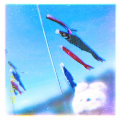 この前のこどもの日に鯉のぼり見に行ってきたよ🎏