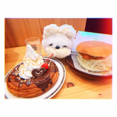 きんちゃんinコメダ