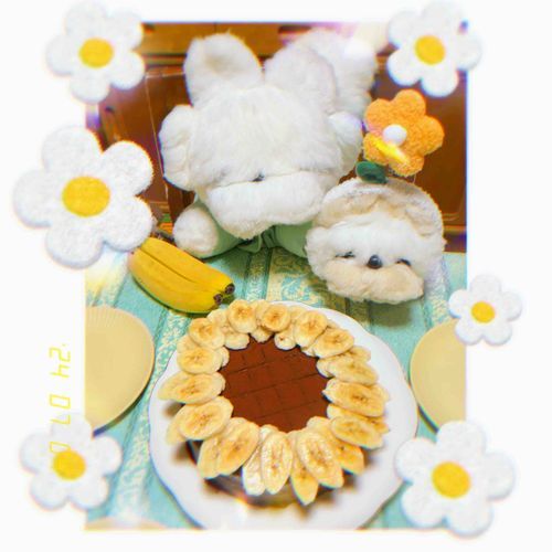 昨日７月４日はきんちゃんのお誕生日でした🎉
きんちゃんの大好きなバナナでチョコレートケーキを作りました🎂🍌
きんちゃんのイメージでひまわりにしてみたけどどうかなぁ？🌻