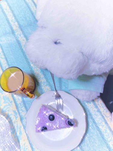 ブルーベリーチーズケーキ🫐🎂