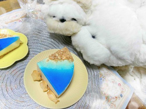主役なのでおっきくカットしてもらったインちゃん🩵でも一緒に食べようね、きんちゃん♪
お魚とヒトデのクッキーも作ったので飾り付けてみたよ🐟