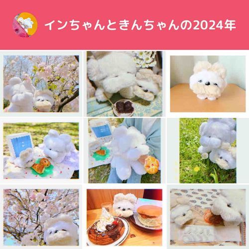 来年はもっといろんなところに行きたいね♪