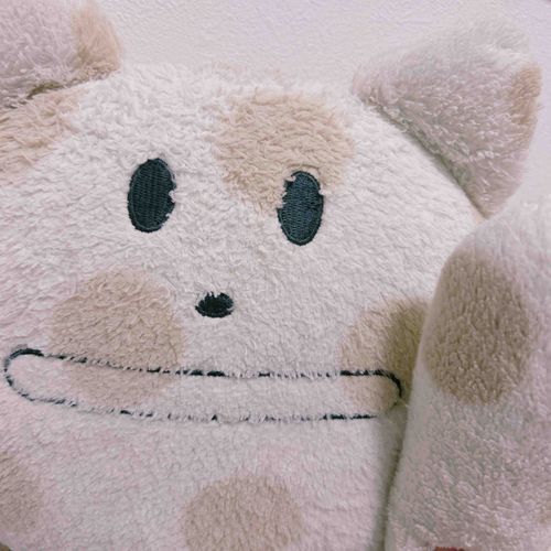 この子がお迎えしてから12年ほど寄り添ってくれている子です💓！全体的に以前投稿していた子たちよりも、うっすら色も変わっていますが愛され色になっていて、それもそれで癒しの効果があって好きです😊❤️ 他の子も後日投稿していきますね！♡