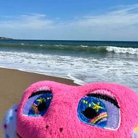 ぬいたちといっしょ