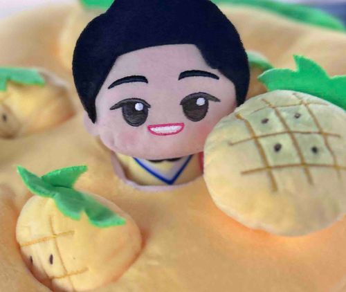 かずむお兄さん、パイナップルもいっぱいだよ🍍