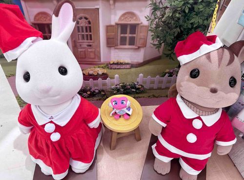 サンタちゃまになってた🎅🏻❣️