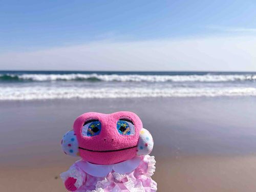 またまた海に行ってきたよ‼️
定期的にお友達とリフレッシュしに行くんだ~🩵
