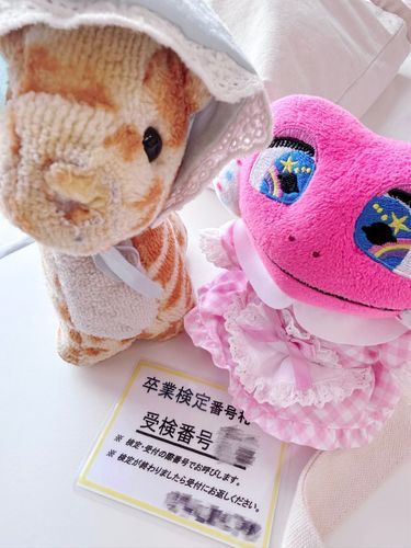 お久しぶりです❕主もぬいたちも元気です💪🏻♡
先日高校卒業しました~🌸たくさんのお友達に出会えて本当に良かったです！けけちゃまにはきりりちゃまという特別なお友達ができました💖
検定も合格して無事運転免許も取れました😽なんと検定の日きりりちゃまに会ったの🫶🏻
春からの新生活は不安でいっぱいですが自分なりにがんばります‼️